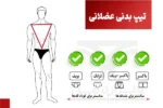 انواع تیپ بدنی