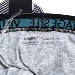 پک 2 تایی لگینگ مردانه کش پهن دکمه دار بیس لایر لیورجی Livergy آلمان