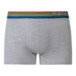 پک 2 تایی شورت مردانه پادار هپی شورتس Happy Shorts آلمان طرح بستنی