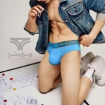 شورت مردانه اسلیپ اورجینال Pump Men's Modal Briefs Dual Waistband V-Suspension Low Rise برند پامپ