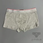 پک پرمیوم 4 تایی شورت مردانه تامی هیلفیگر Tommy Hilfiger اورجینال باکسر بریف Premium